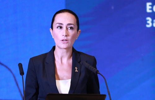 伊瑞娜•加布兰彦-亚美尼亚环境部副部长