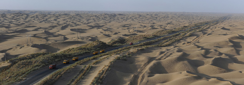 沙漠公路防护林工程图